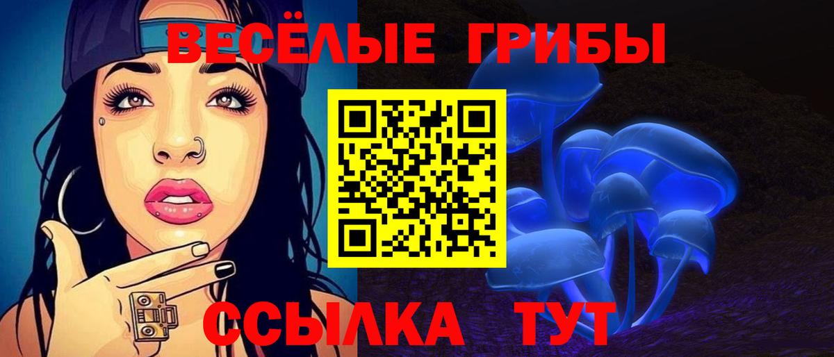 Псилоцибиновые грибы прущие грибы  Вход с VPN  Мытищи 